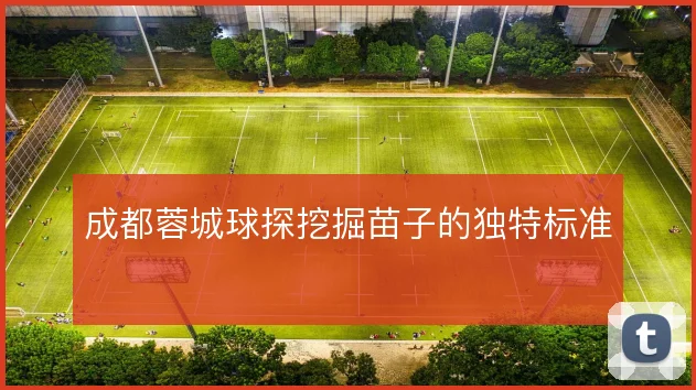 成都蓉城球探挖掘苗子的独特标准